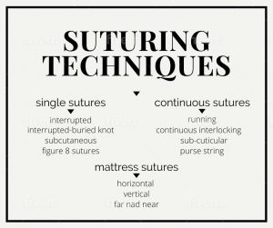 Different suturing techniques single suturing technique continuous suturing technique mattress suturing technique
